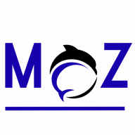 mozelectronics