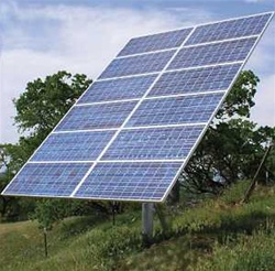 www.ecodirect.com