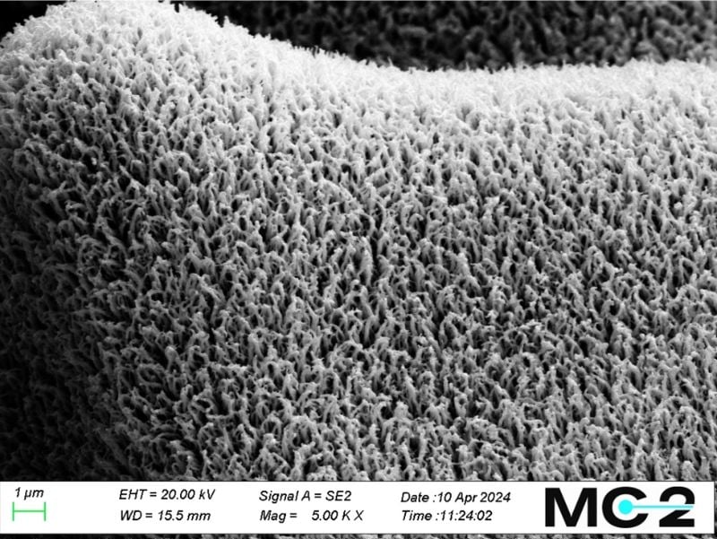After 1,000 hours of testing, the nanostructure of Smoltek’s anode electrode remained intact.