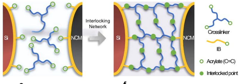 Schematic illustration of the interlocking process between electrodes and electrolytes