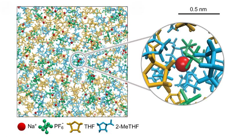 Solvent molecules with an oxygen atom within 0.5 nm of the Na+ ion.
