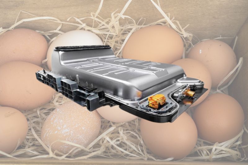 Can Chicken Eggshells Replace Graphite in LiIon Battery Electrodes
