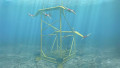 Turning Tides: Innovative Tidal Power Plant to Energize Remote Island Grid