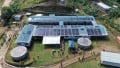 Can Solar Mini-Grids Power the World?
