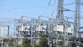 Static vs. Dynamic ZIP Loads in IEEE Power Testing