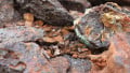 As Competitors Look to Iron, GM Inks Deal to Source Cobalt from Australia 