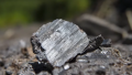 Tesla, Squeezed by a Strained Supply of Graphite, Strikes Deal