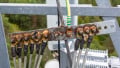 National Electrical Code 2023 Basics: Overvoltage Protection Part 2