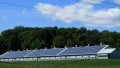 Potential of Zinc-ion Batteries for Grid Storage