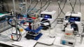 Dual Membrane Redox Flow Batteries for Grid-scale Storage