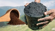 An Energy Drink? Turning Coffee Waste into Sustainable Fuel