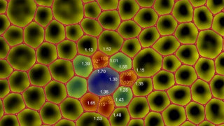 Monolayer Amorphous Carbon Film Could Find Use in Batteries, Semiconductors, and More