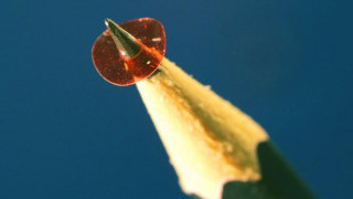 Five-Millimeter Diameter Micromotor is Powered Directly with Light