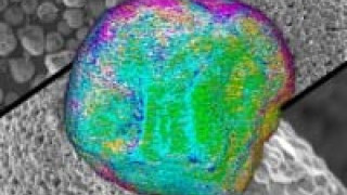 Different way to make a Cathode may mean Better Batteries