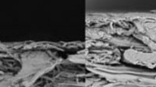 Thin Nonwoven Battery Separator Enhances Li-ion Safety
