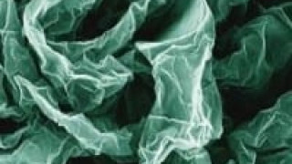 Wrinkles and Crumples enhance Graphene for Batteries