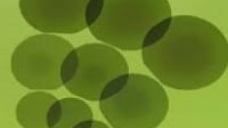 SDK Expands High-Grade SiC Epitaxial Wafer Capacity