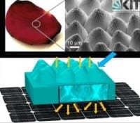 “Flower Power” Photovoltaic Cells Replicate Rose Petals