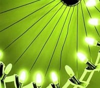 Going Green: Why Don’t We All Do It?