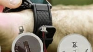 High-Capacity Rechargeable Coin Cells for IoT Wearable