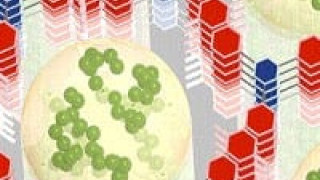 Nanomaterial Combines Attributes of Batteries and Supercaps