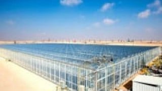 Using Solar Energy to Recover Oil