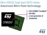 Advanced Secure Services for the IoT with Enhanced MCUs
