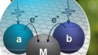 Physics, Photosynthesis and Solar Cells