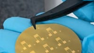 Polymer-Coated Silicon Nanosheets as Graphene Alternative