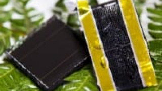 Bio-Inspired Energy Storage for Solar Power