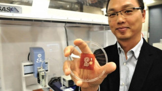 Sustainable Wood-Derived 3D Printed Electronics from Canadian/Swiss Collaboration