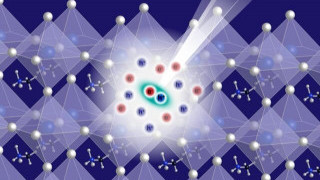 New Quasiparticle Unveiled in Room Temperature Lead Halide Perovskites