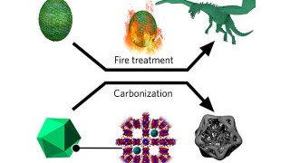 A Pinch of Salt can Improve Battery Performance
