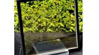 Asahi Glass and Ubiquitous Energy Partner on Transparent Solar Glass