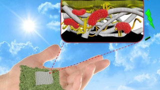 Biodegradable, Hybrid Paper-Based Biobatteries