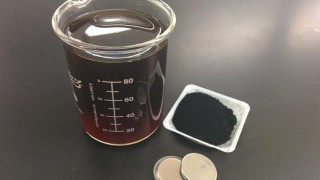 Building Lithium-Sulfur Batteries with Paper Biomass