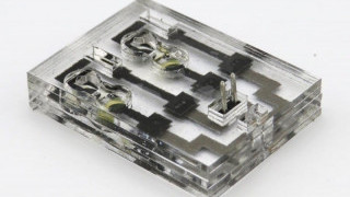 Biosolar Cell Could Power Sensors for the Internet of Things