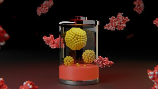 UCLA Team Reimagines Edison Battery for Grid-Scale Storage