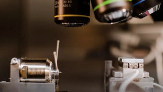 Dendrites and Defect Danger Zone: For Lithium Metal, Smaller is Stronger