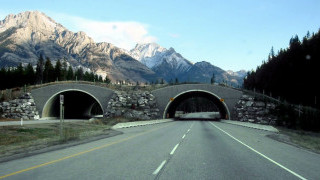 EV Fast Charging Coming to the Trans-Canada Highway