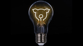 Ecotricity Launches Vegan Electricity in Britain