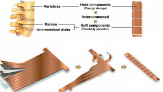 Flexible Li-ions Shaped Like a Spine for Wearable Electronics