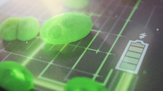 Harnessing the Power of Algae for Greener Biophotovoltaics