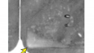 How Preserved Echoes Diagnose Component Failures