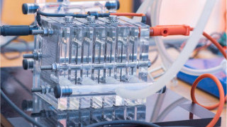 Unlocking the Potential of Platinum-Free Catalysts in Hydrogen Fuel Cells