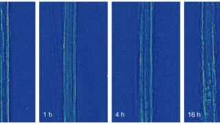 New Electric Battery Technology Could Power Electric Flight and Longe-Range Electric Vehicles