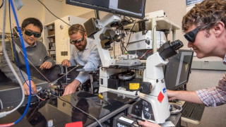 New Results Reveal High Tunability of 2-D Material