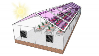 Next Generation of Greenhouses May Sell Energy and Grow Plants