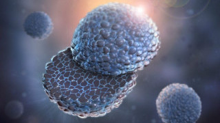 Argonne Lab Develops PEDOT Cathode Coating Improving Lithium-Ion Batteries