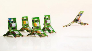 Robot-Ants that can Jump, Communicate and Work Together